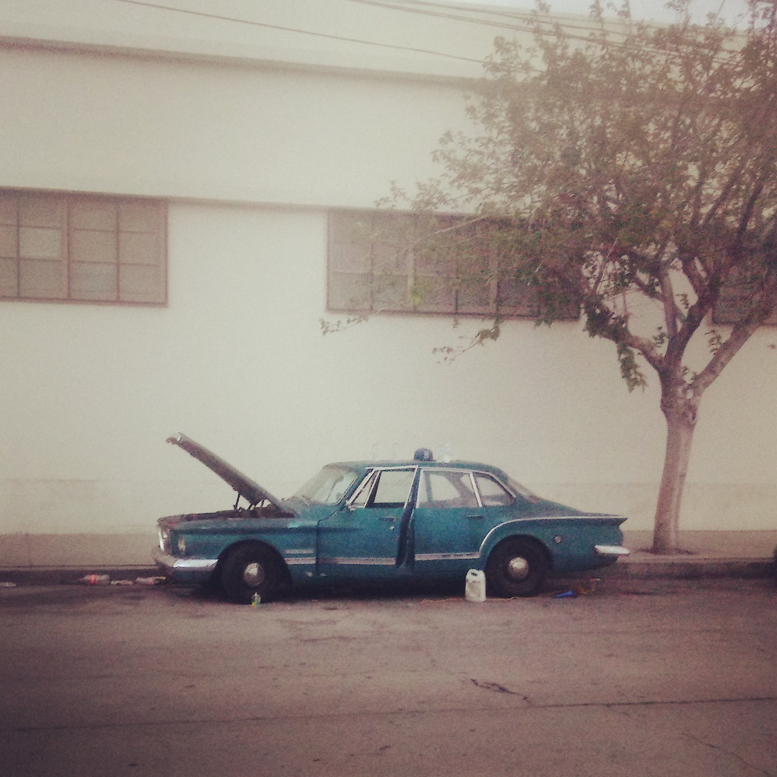 'Last Thoughts of Bob Dylan' SINGLE DEBUT