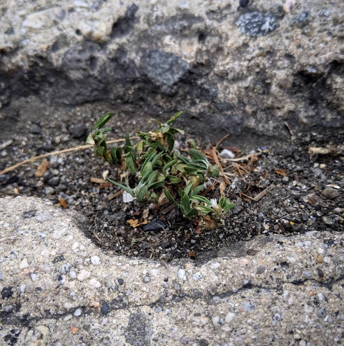 Screen Shot 2021-05-28 at 6.00.41 PM.png